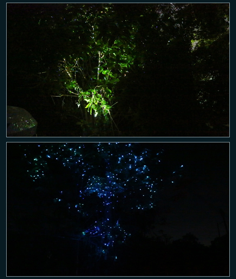 Dynamic Firefly Special Effect Laser Light Outdoor Landscape Light Park Full Sky Star Spot Light