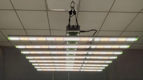 800 W Vertical Farming Smart Control Vollspektrum-Spinne, verstellbares LED-Wachstumslicht für Zimmerpflanzen